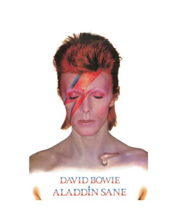 David Bowie Poster Aladdin Sane 269-188011