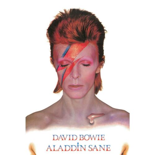 David Bowie Poster Aladdin Sane 269-188011