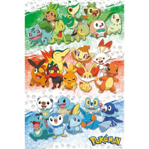 Pokemon Poster First Partners 144-192623