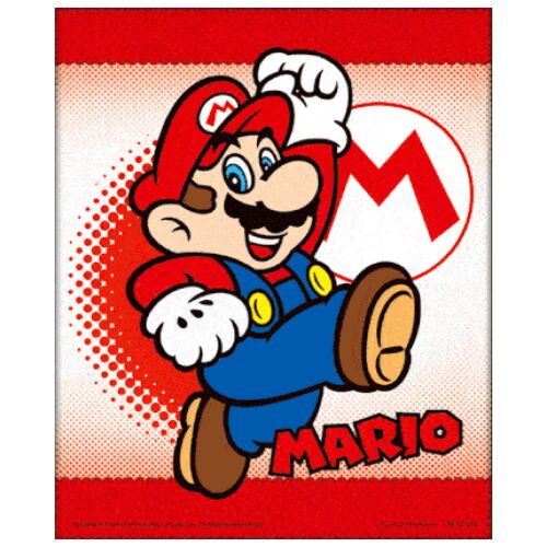 Super Mario Framed 3D Picture-TM-01463